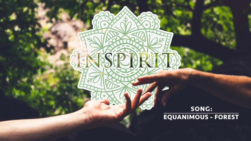 InSpirit Contact w Equanimous, Mienne, & More!