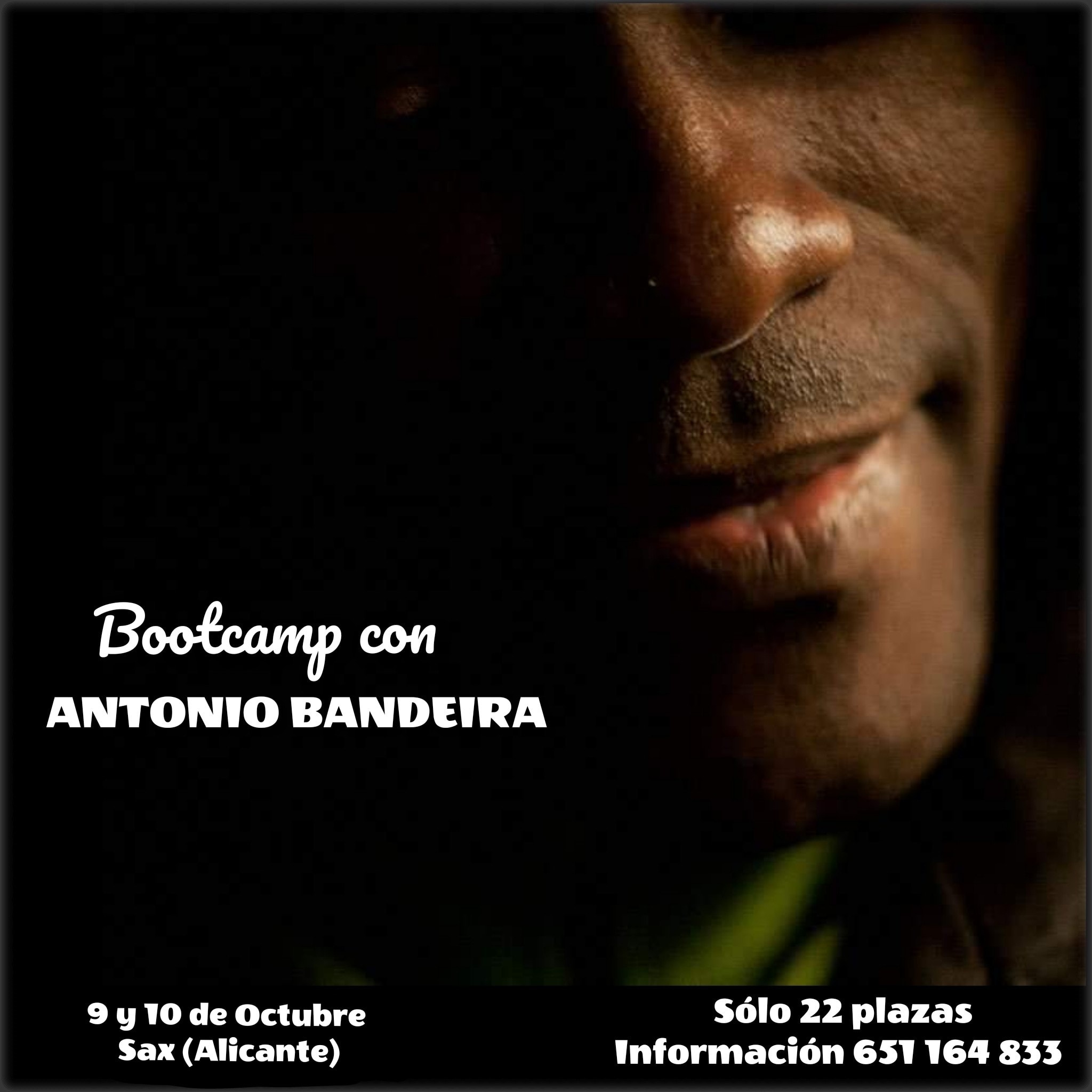 Bootcamp con ANTONIO BANDEIRA