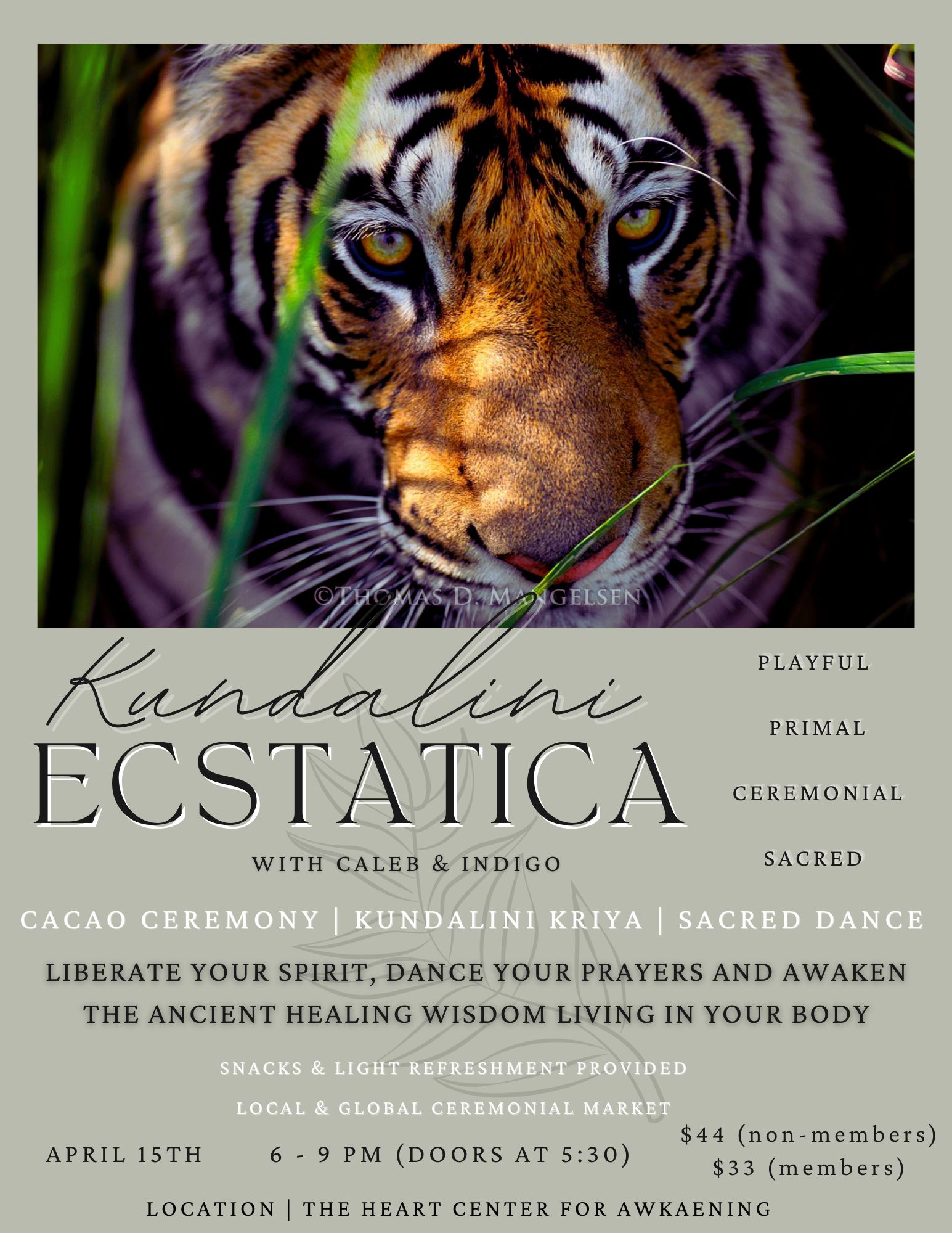 Kundalini Ecstatica