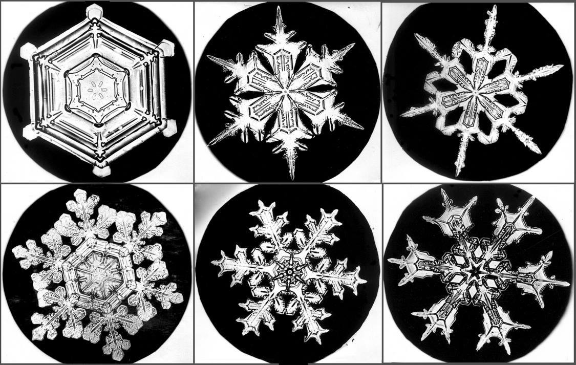 Ecstatic Dance Houston *Snowflake* DJ MamaSama
