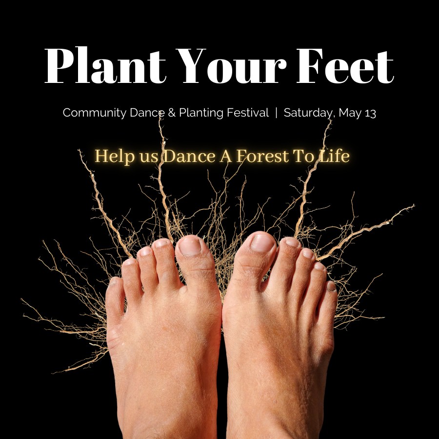 "Plant Your Feet" Community Dance & Planting Festival