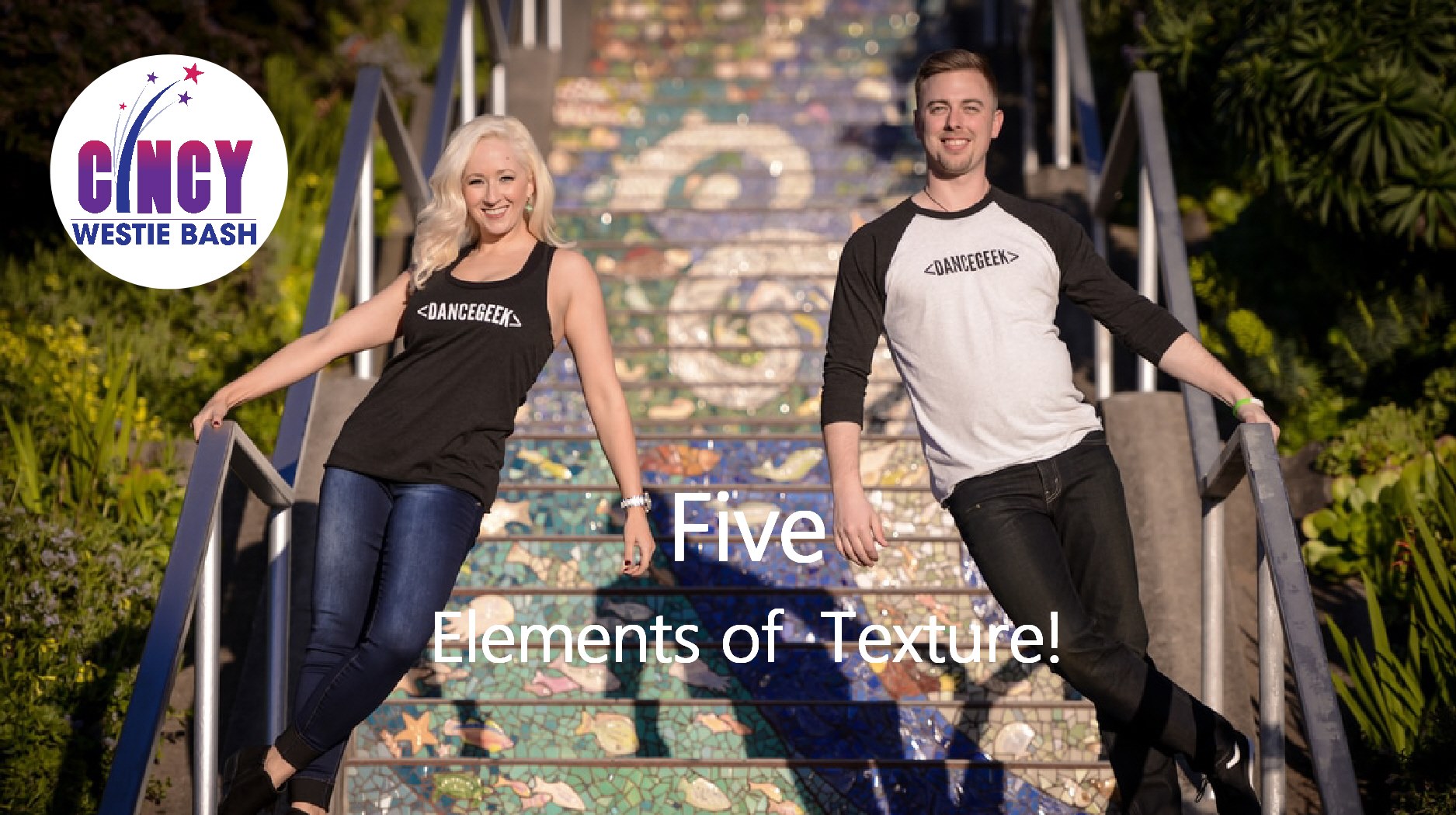 Bameo's Intensive - 5 Elements of Texture at Cincy Westie Bash