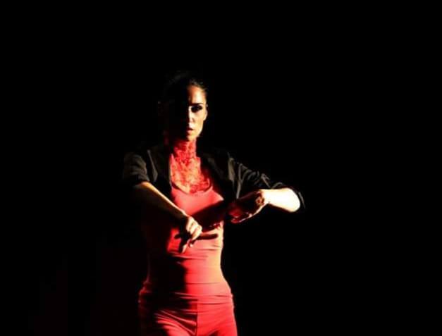 Flamenco ed Espressività