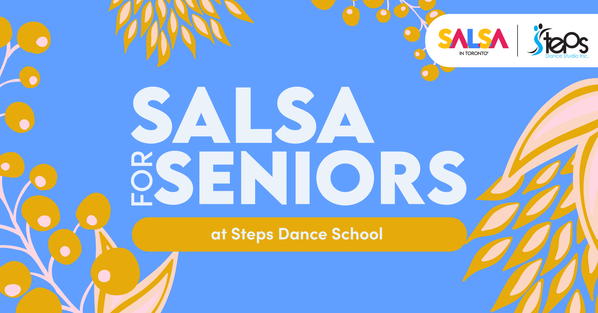 Salsa for Seniors Salsa In Toronto Festival