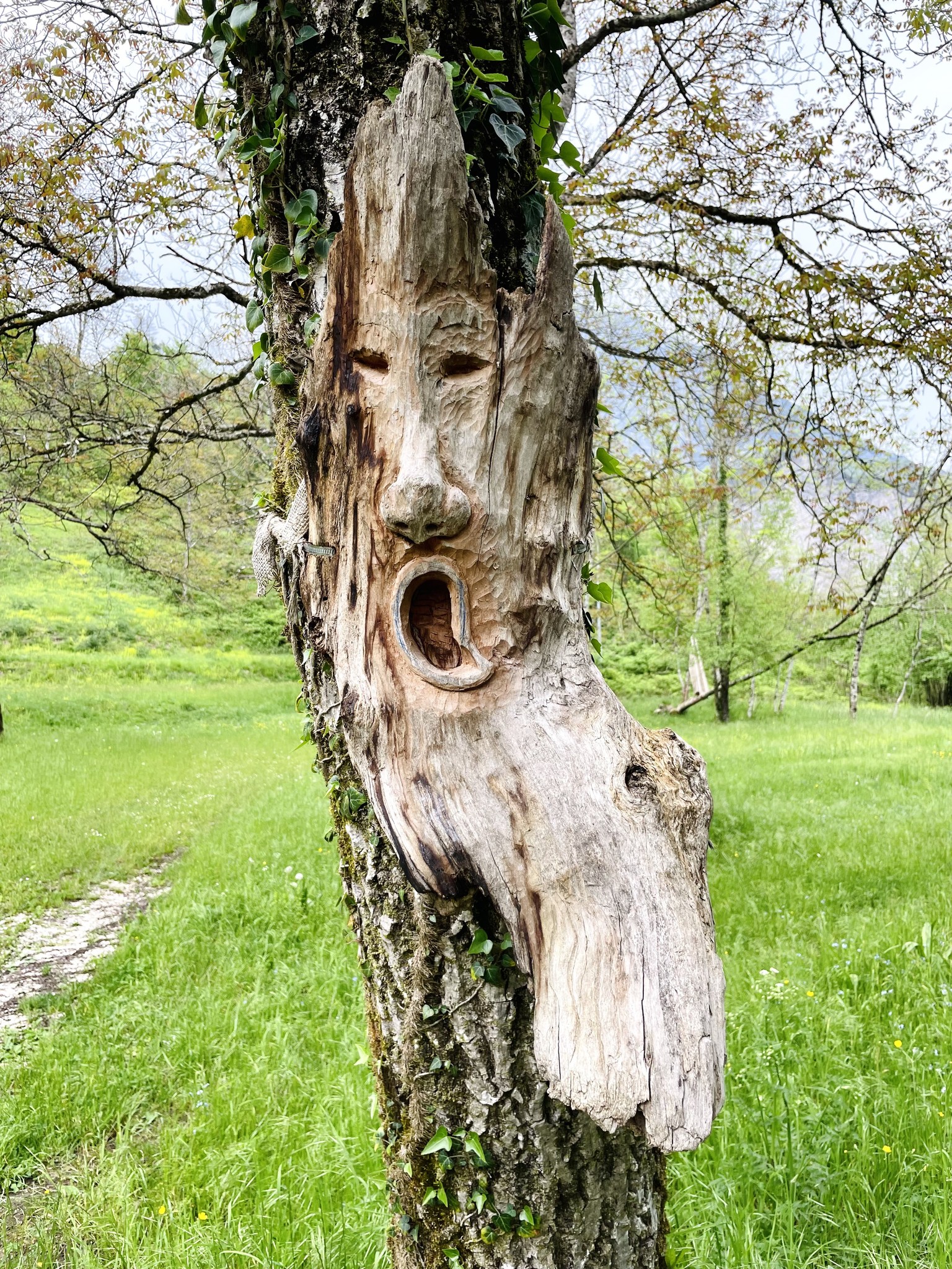 Danze Estatiche in Andreis