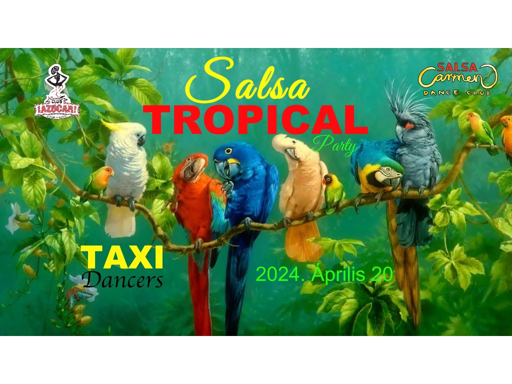 🦜🌴🌺 TROPICAL Salsa party 🌸🦩💃