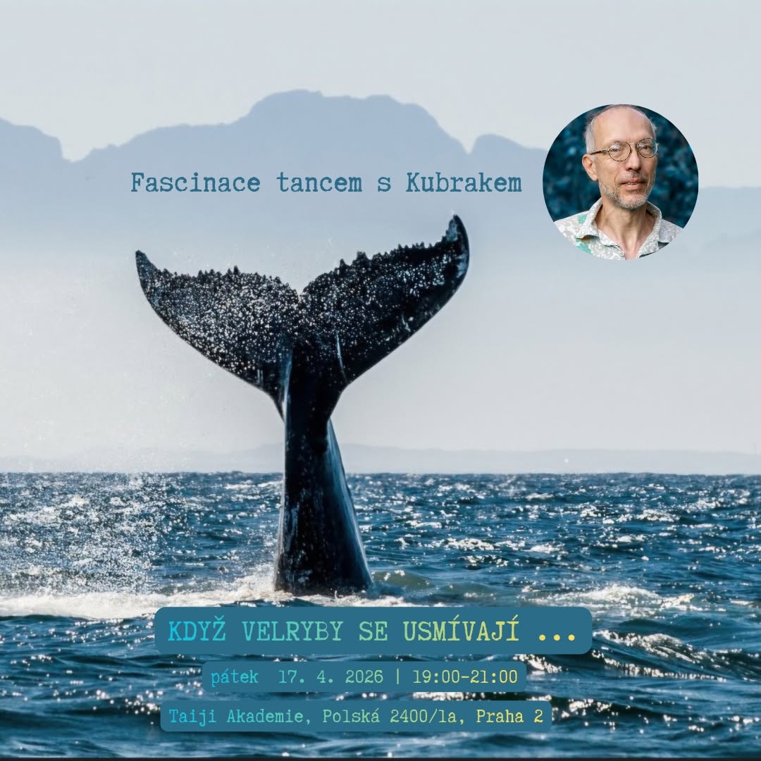 Když velryby se usmívají - páteční Fascinace tancem v Taiji
