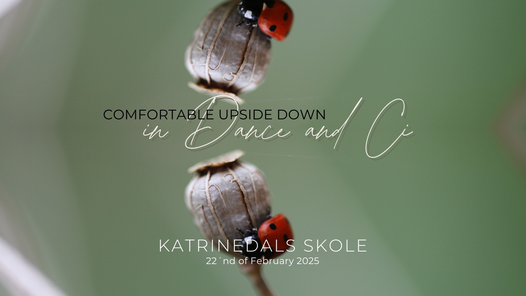 COMFORTABLE UPSIDE DOWN ~ Handstands in Dance and CI