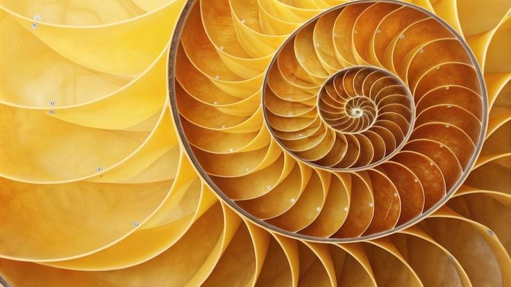 Lila Familia ~ Golden Spirals Ecstatic Dance