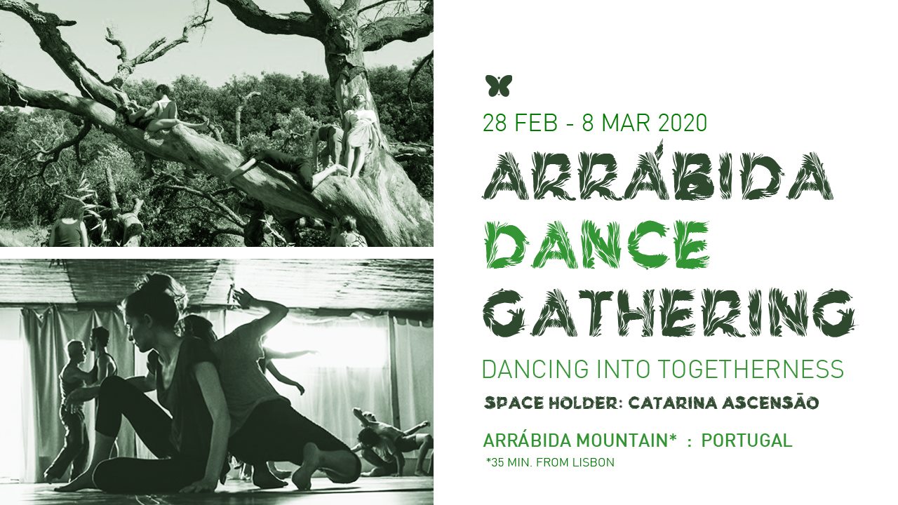 Arrábida DANCE Gathering - 12th Edition