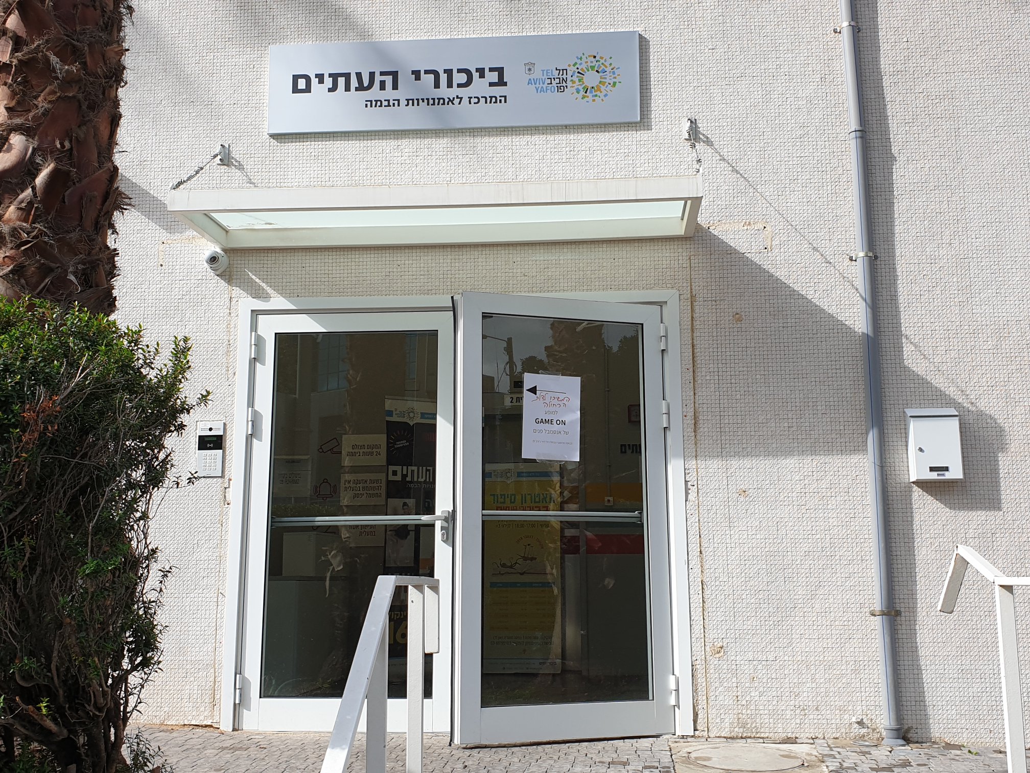 כן כן זה קורה! הסלסה חוזרת לביכורי העתים