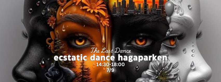 The Last Dance ECSTATIC DANCE HAGAPARKEN 7 9