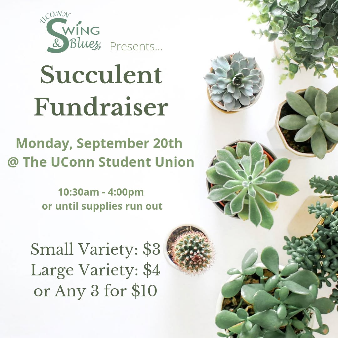 Succulent Fundraiser with UCSB