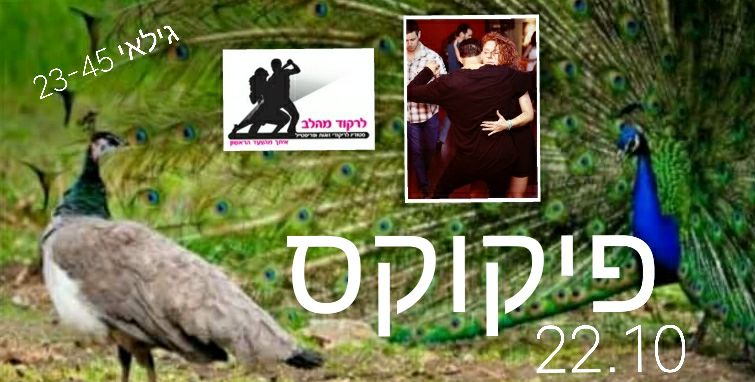 "פיקוקס"- פלירטוט, חיזור, ומיניות בתנועה ובדרמה לגילאי 23-45