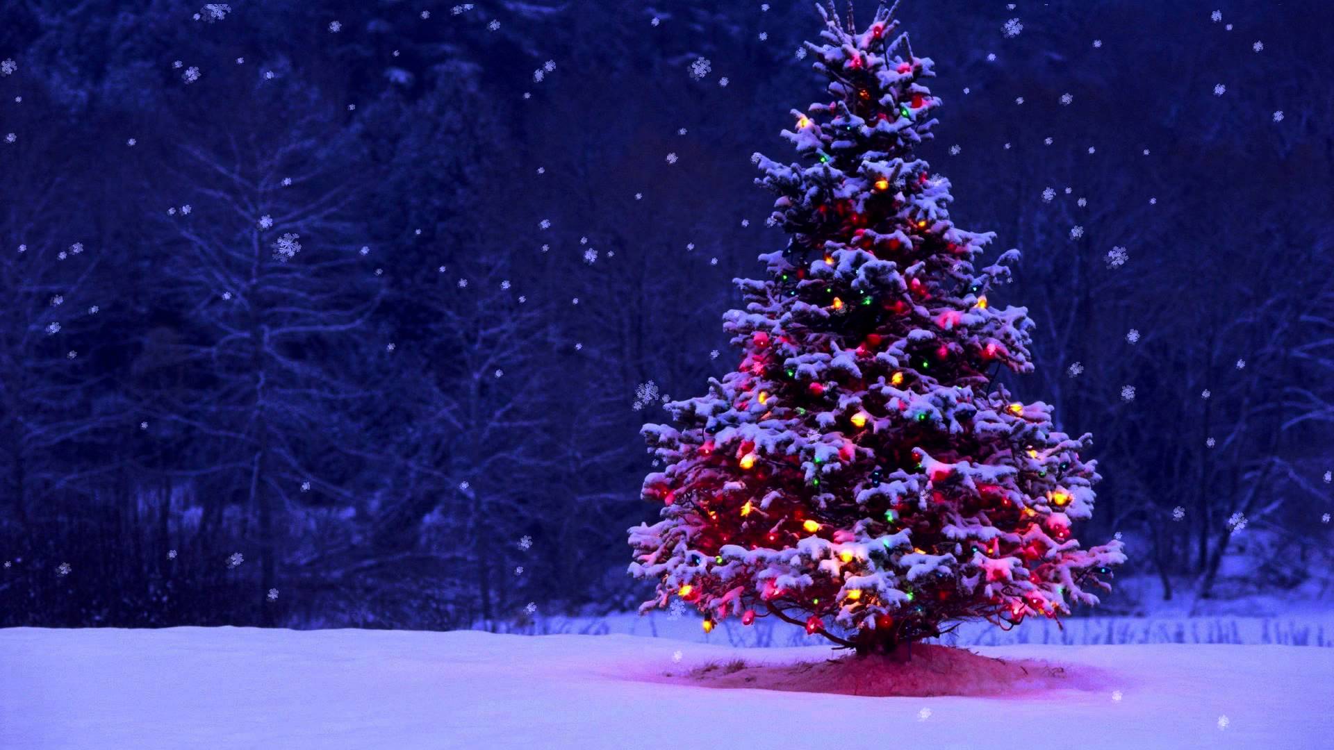 Tangoskolens DugnadsJuleFest