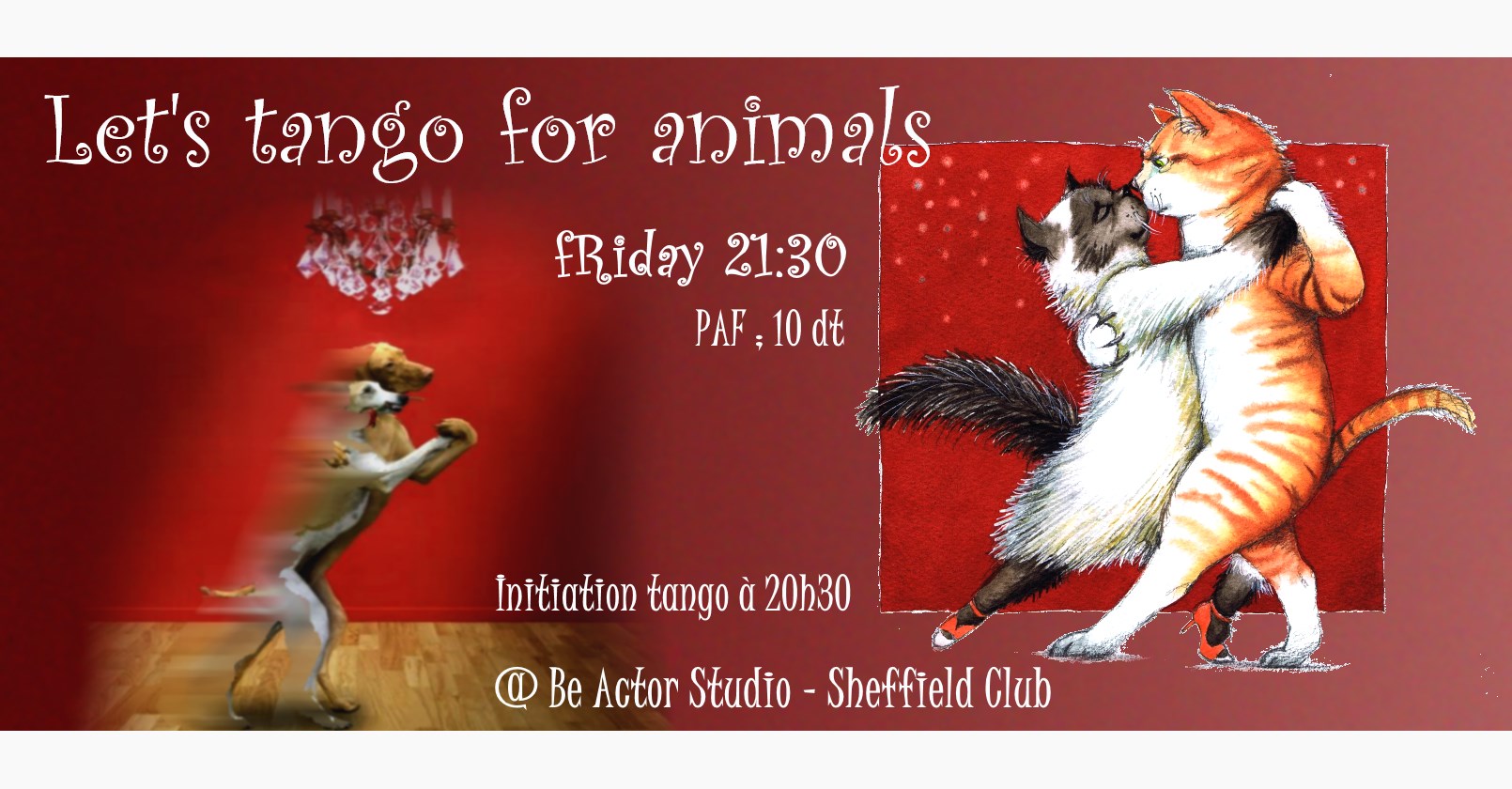 Milonga for Animals - Tango initiation