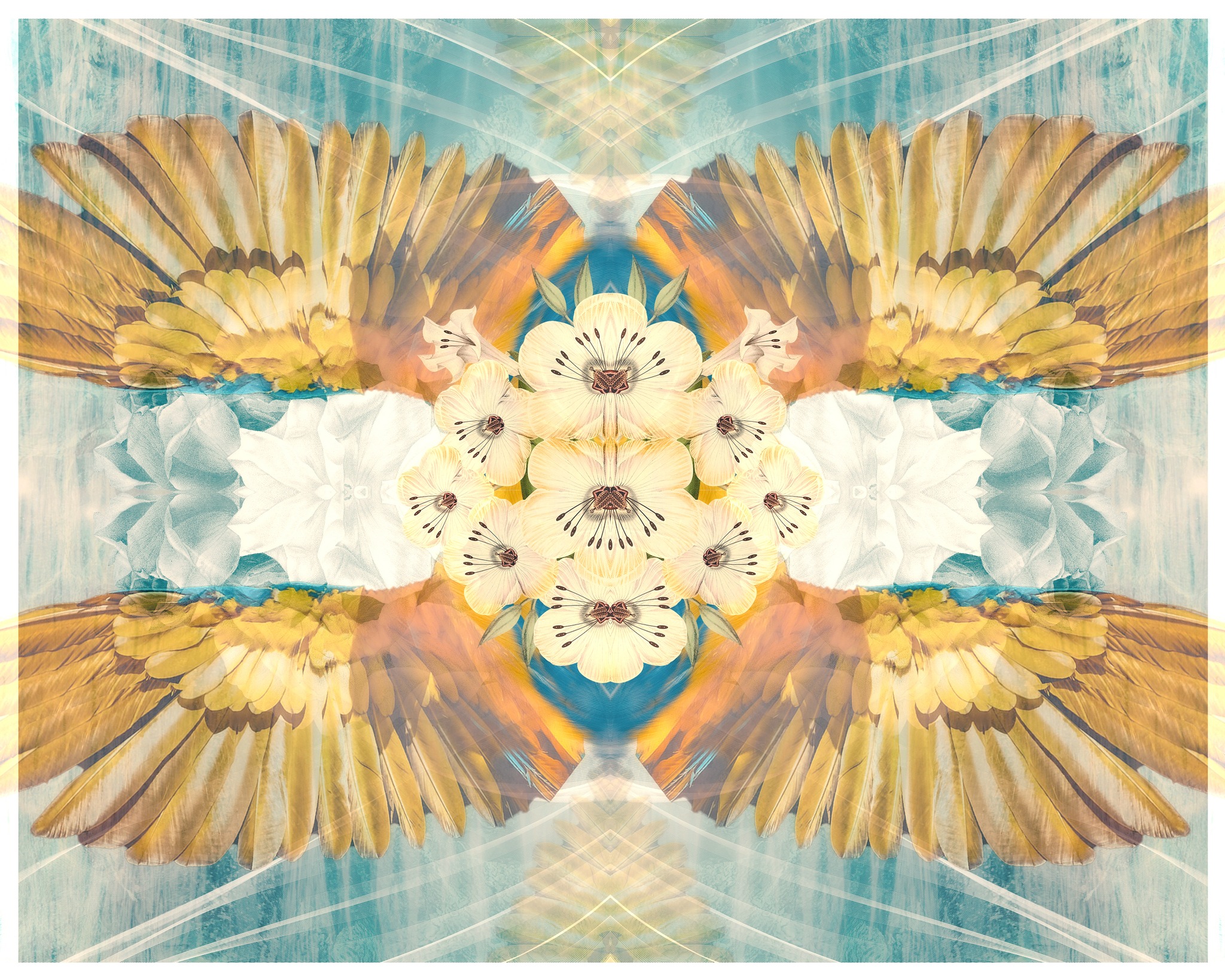 ✧ Friday Night ✧ Ecstatic Cacao Dance