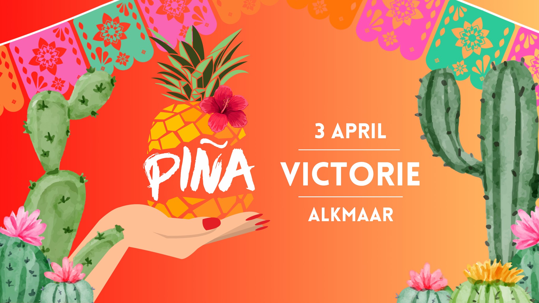 PIÑA Alkmaar