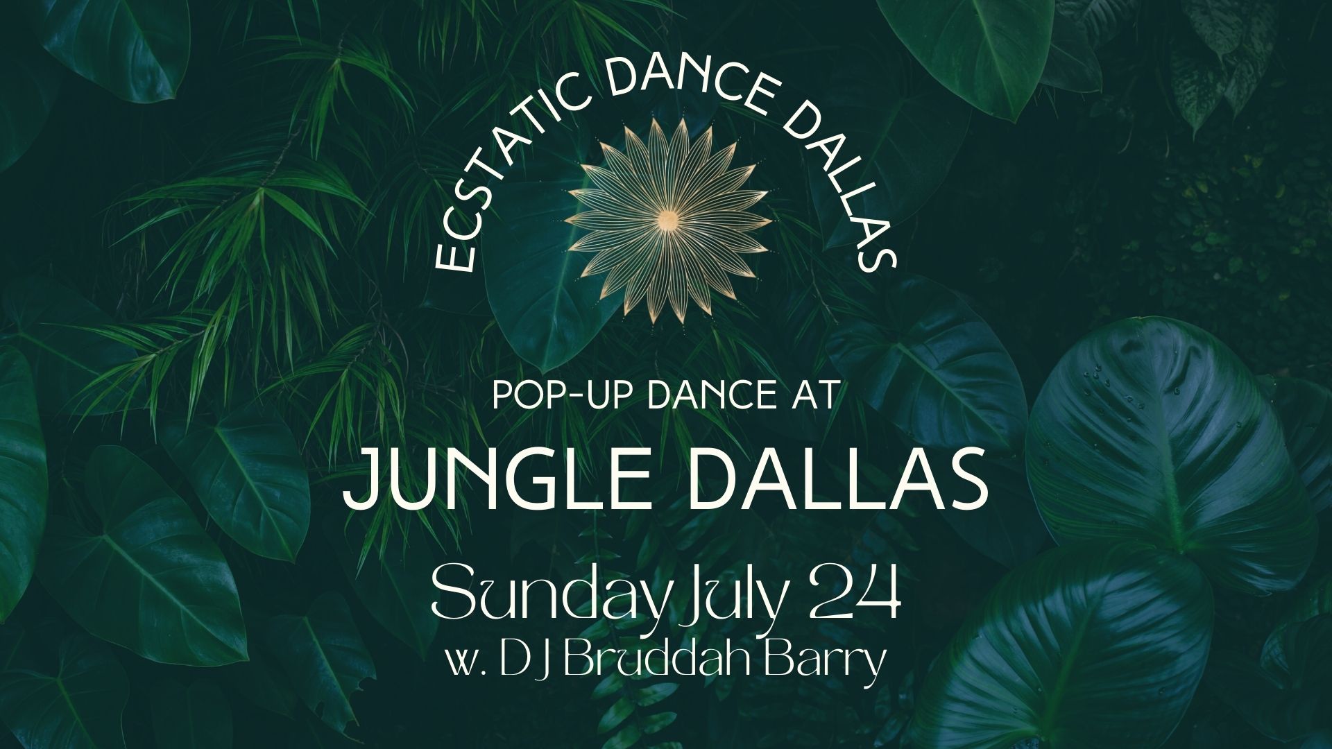Ecstatic Dance Dallas Soulful Sweat at Jungle Studio Fitness