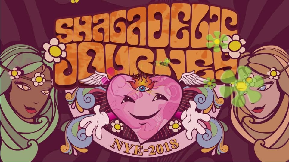 New Years Eve 2019! Shagadelic Journey by ABunDance