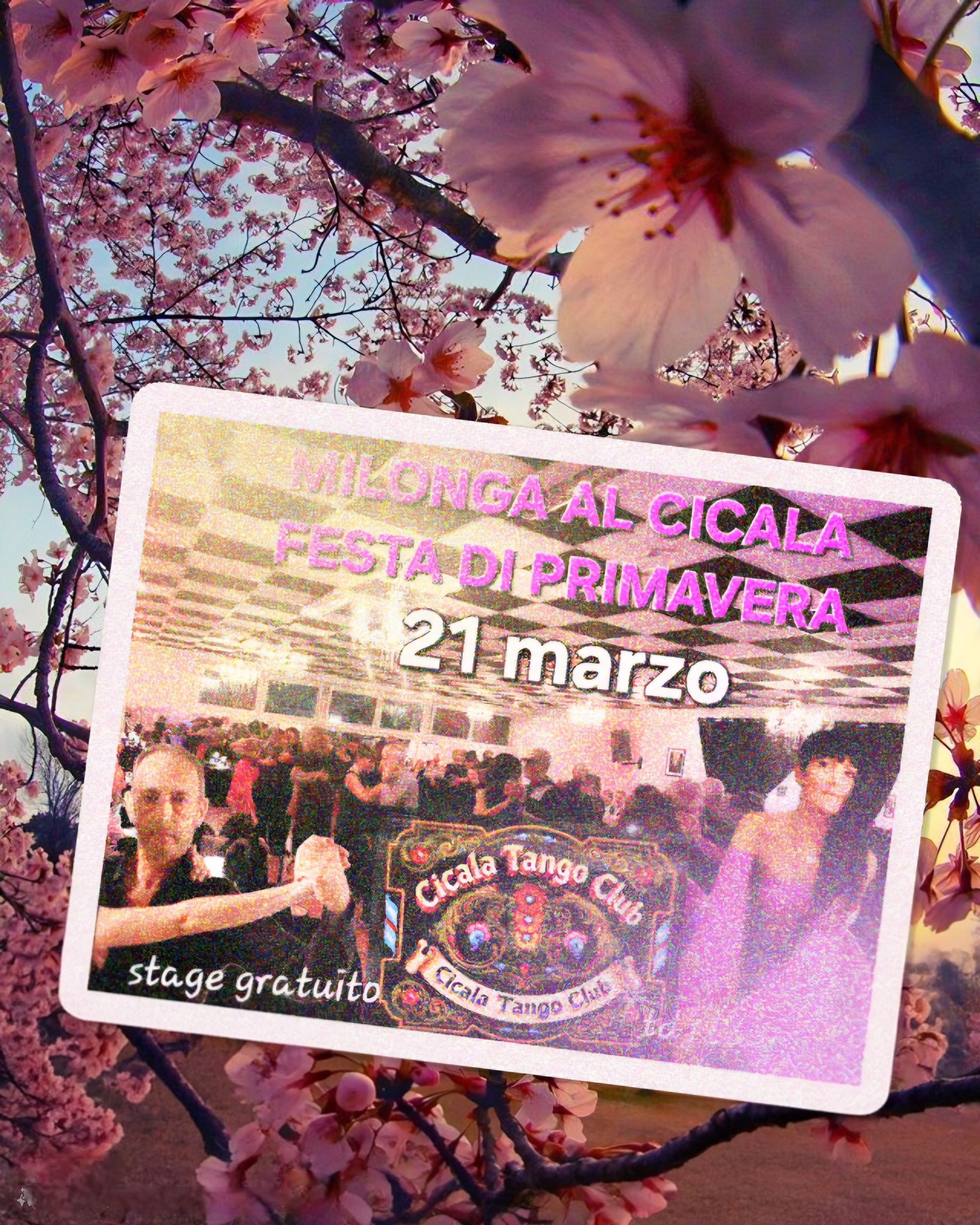 CICALA MILONGA STAGE GRATUITO CON ROMEDIO TDJ LA OMBRE