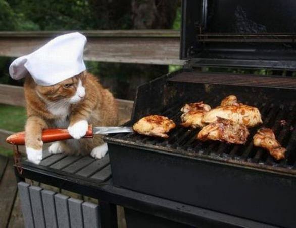 Teneczne Barbeque z PLONSami :) Grill + Impreza!