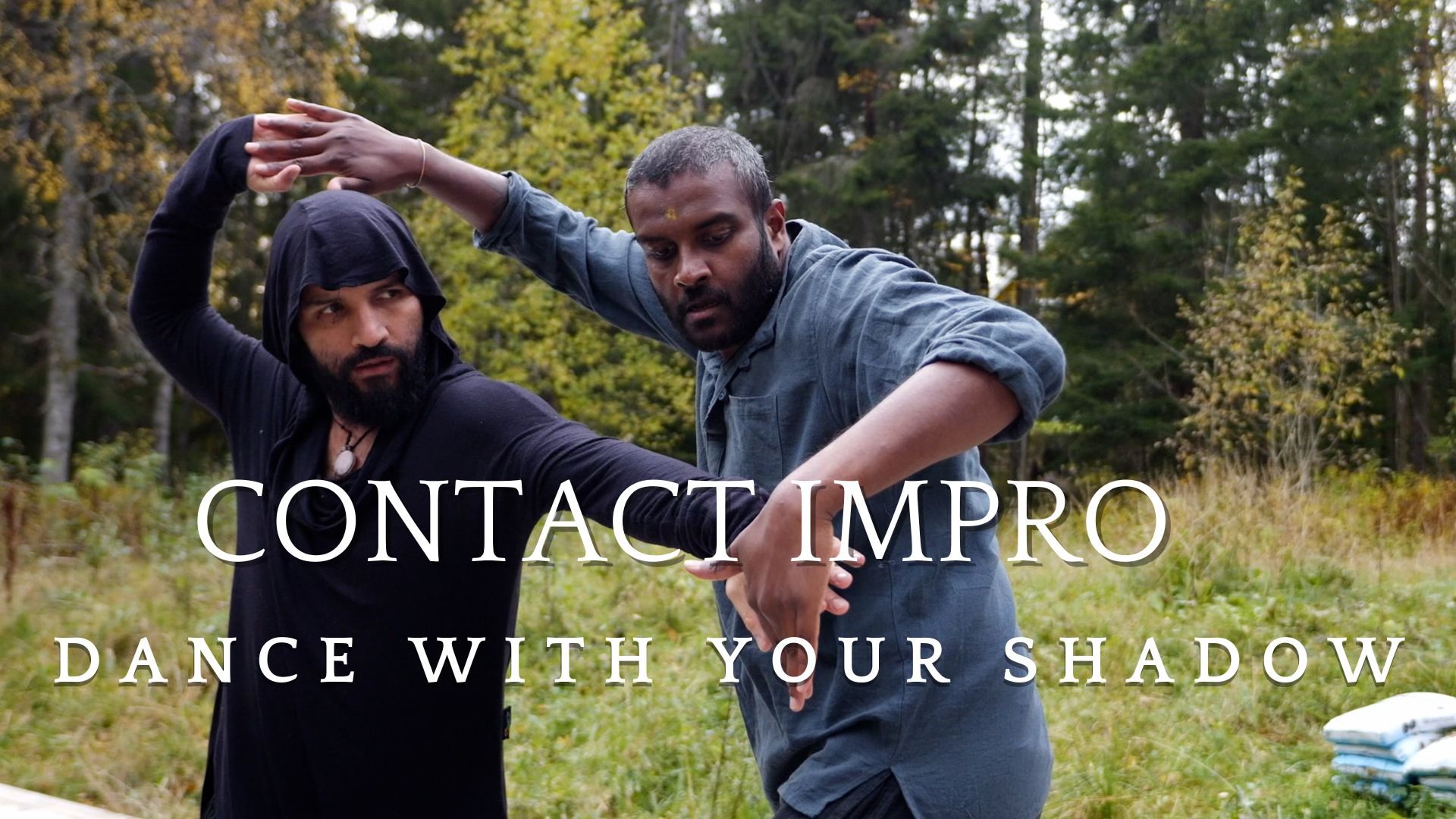 Fully booked - Contact Impro - Dance with your Shadow
