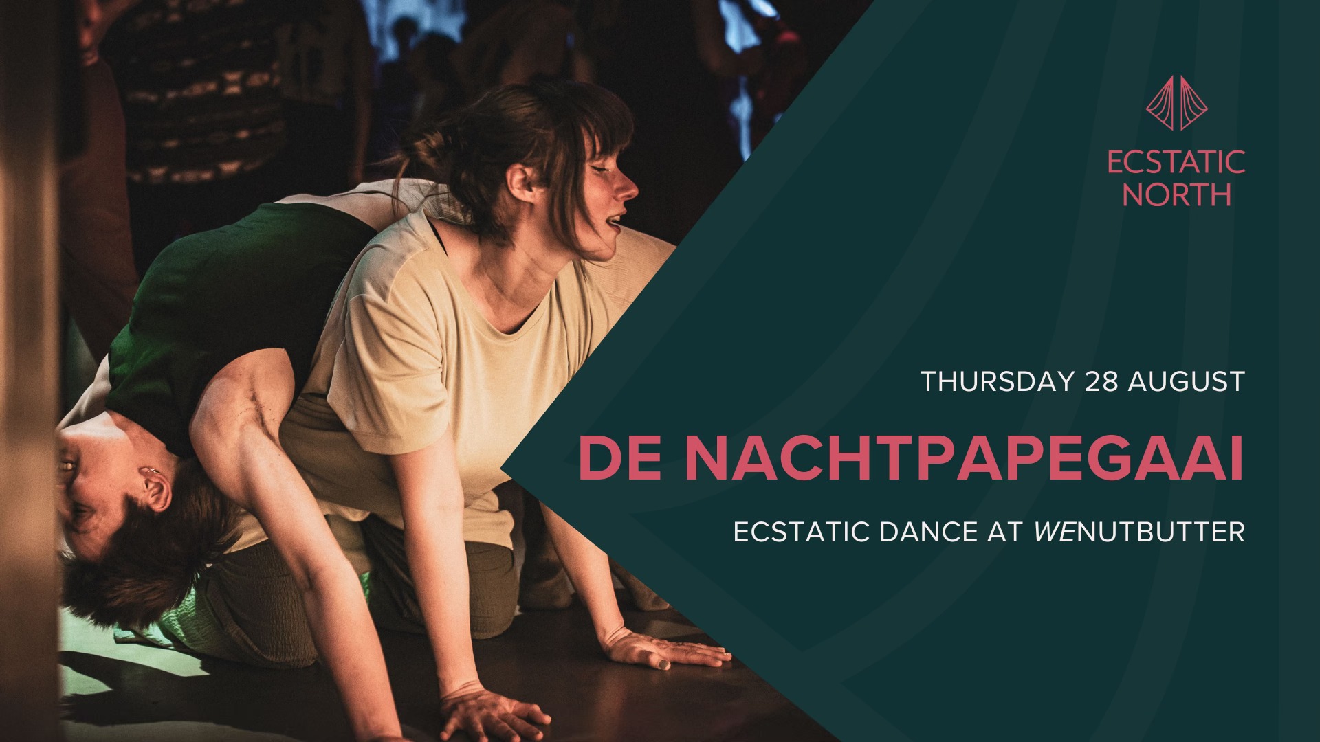 Ecstatic Dance Groningen DJ De Nachtpapegaai