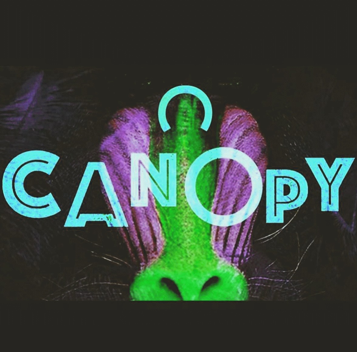 Canopy Presents 002: Club Makossa