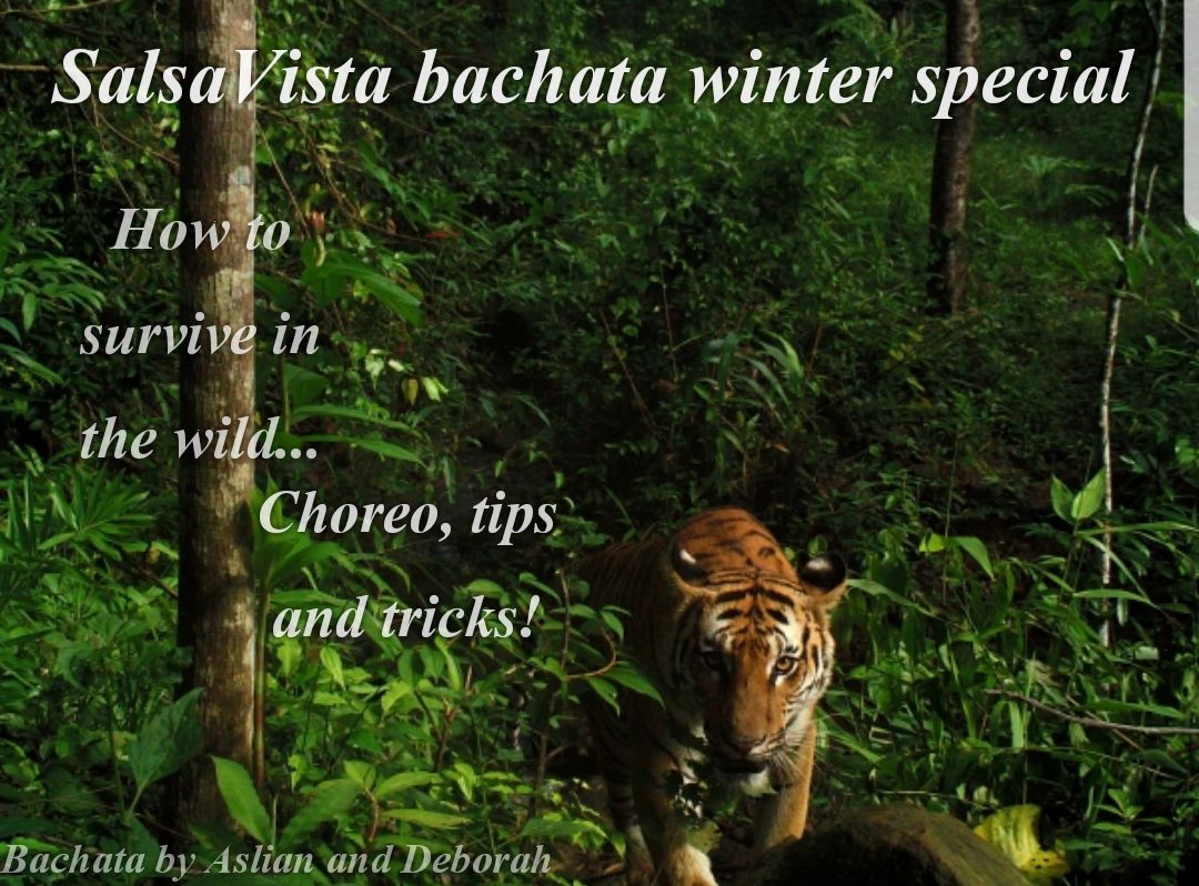 Bachata Winter Special Class