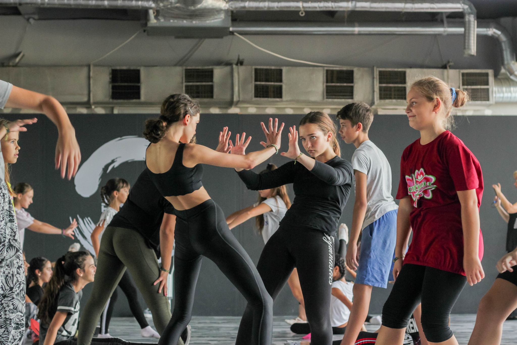 YOUTH and PROFI DANCE PROGRAMM