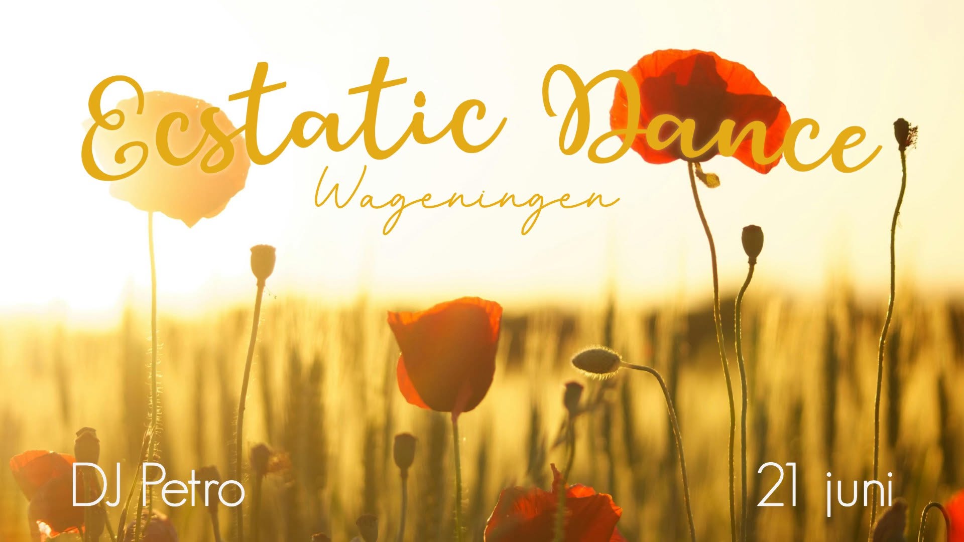 Ecstatic Dance Wageningen met DJ Petro - Midzomerviering