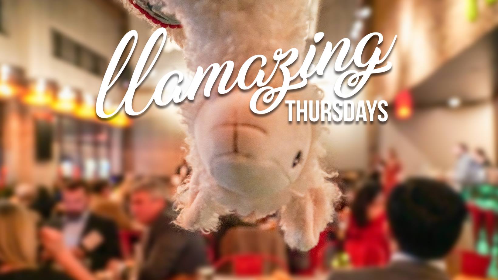 LLAMAzing Thursdays