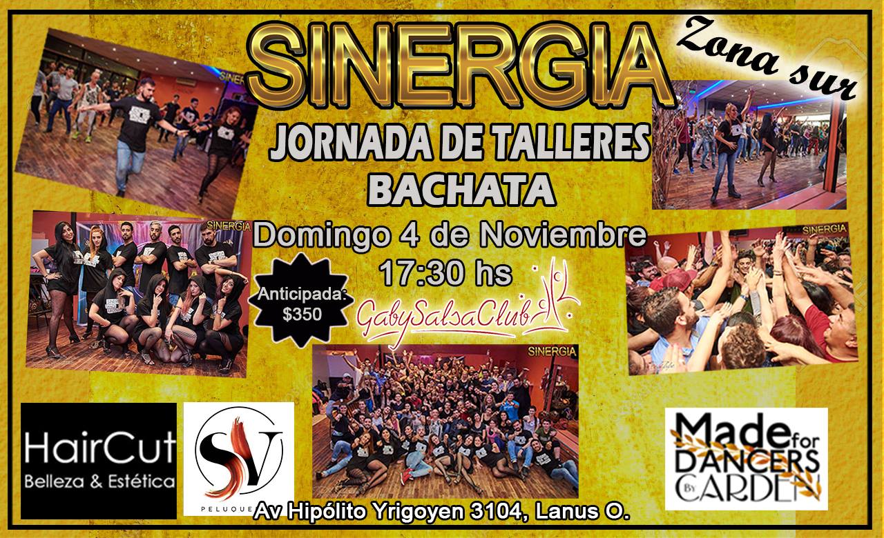 Talleres Sinergicos 2018 - Zona Sur