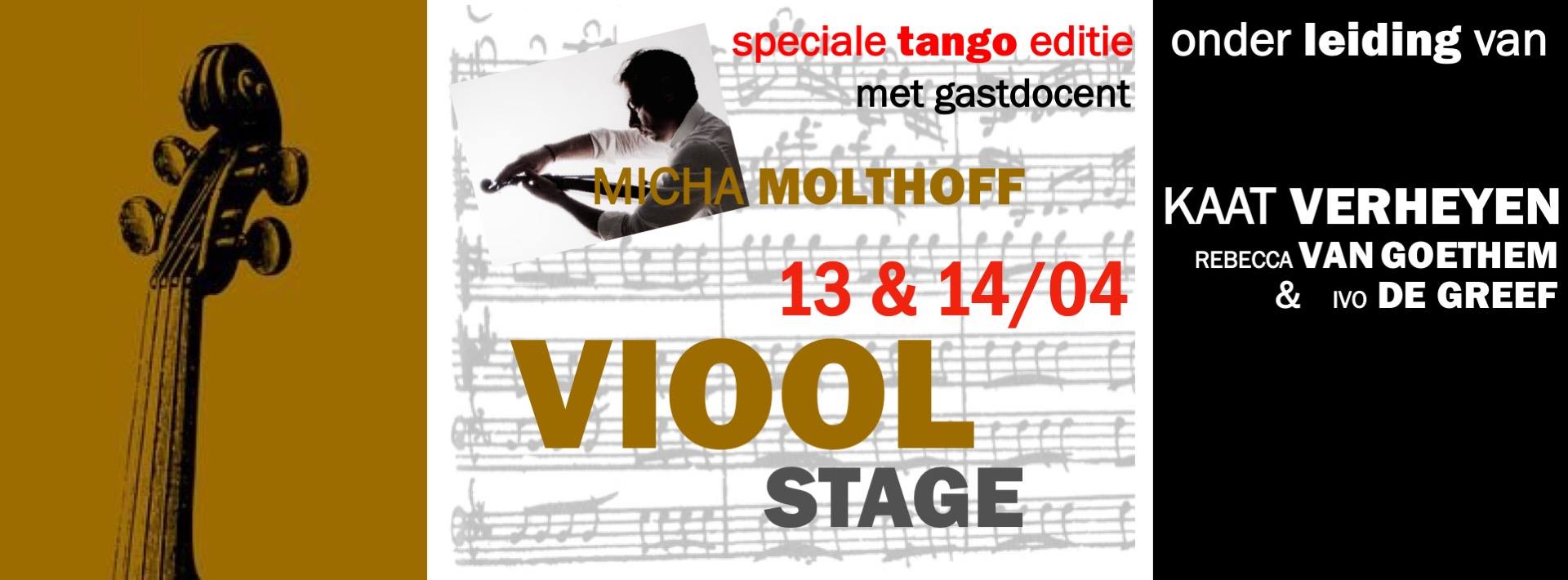 Vioolstage Huldenberg
