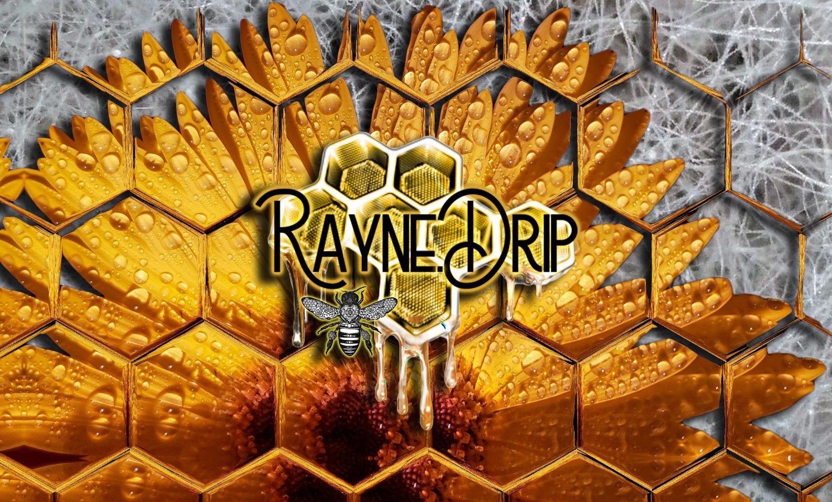 Ecstatic Dance Durango - Rayne.Drip Mycelial Set