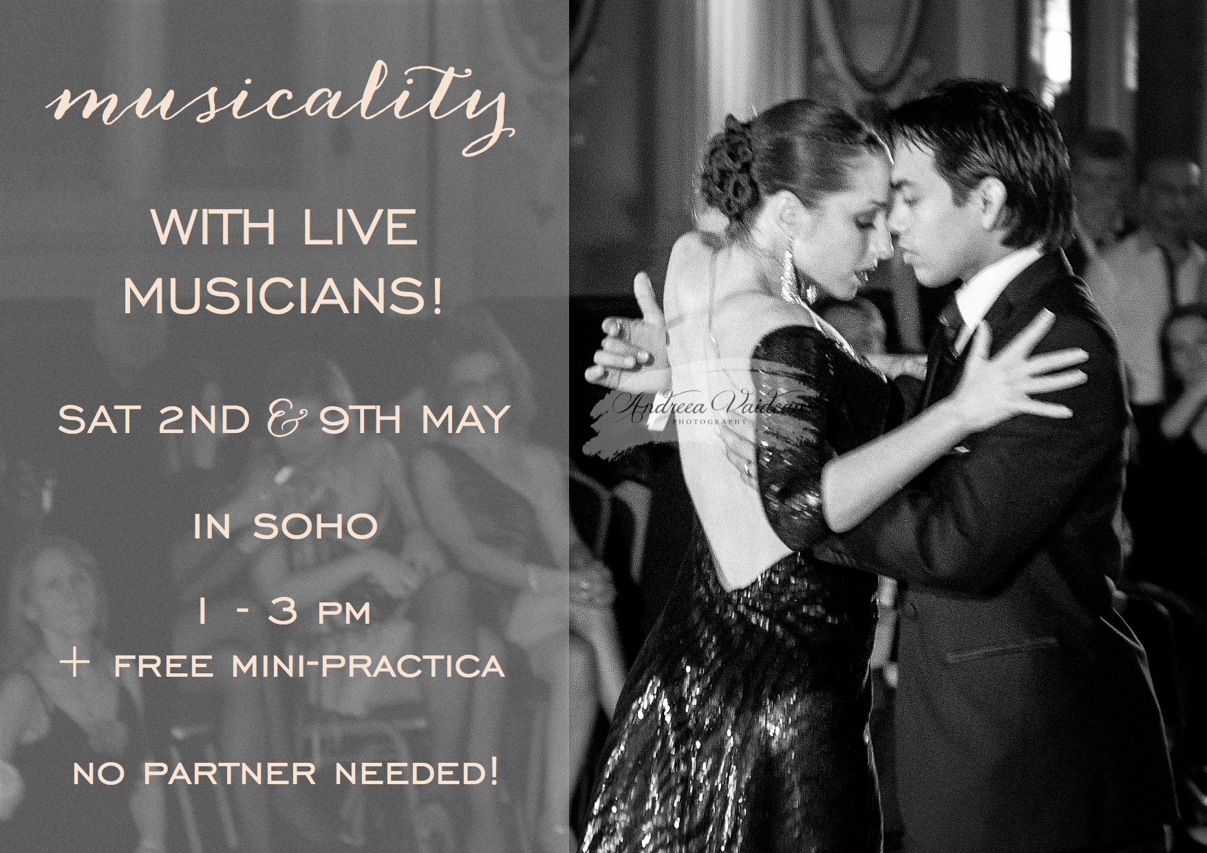 LIVE Musicality