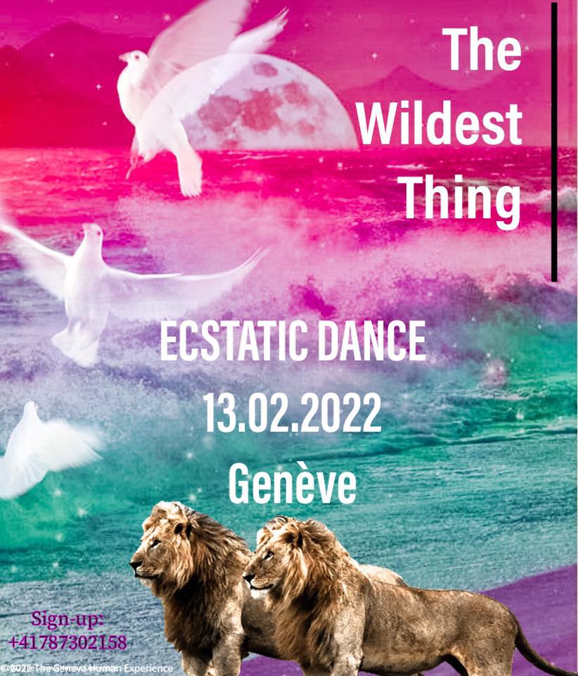 The Wildest Thing - ECSTATIC DANCE