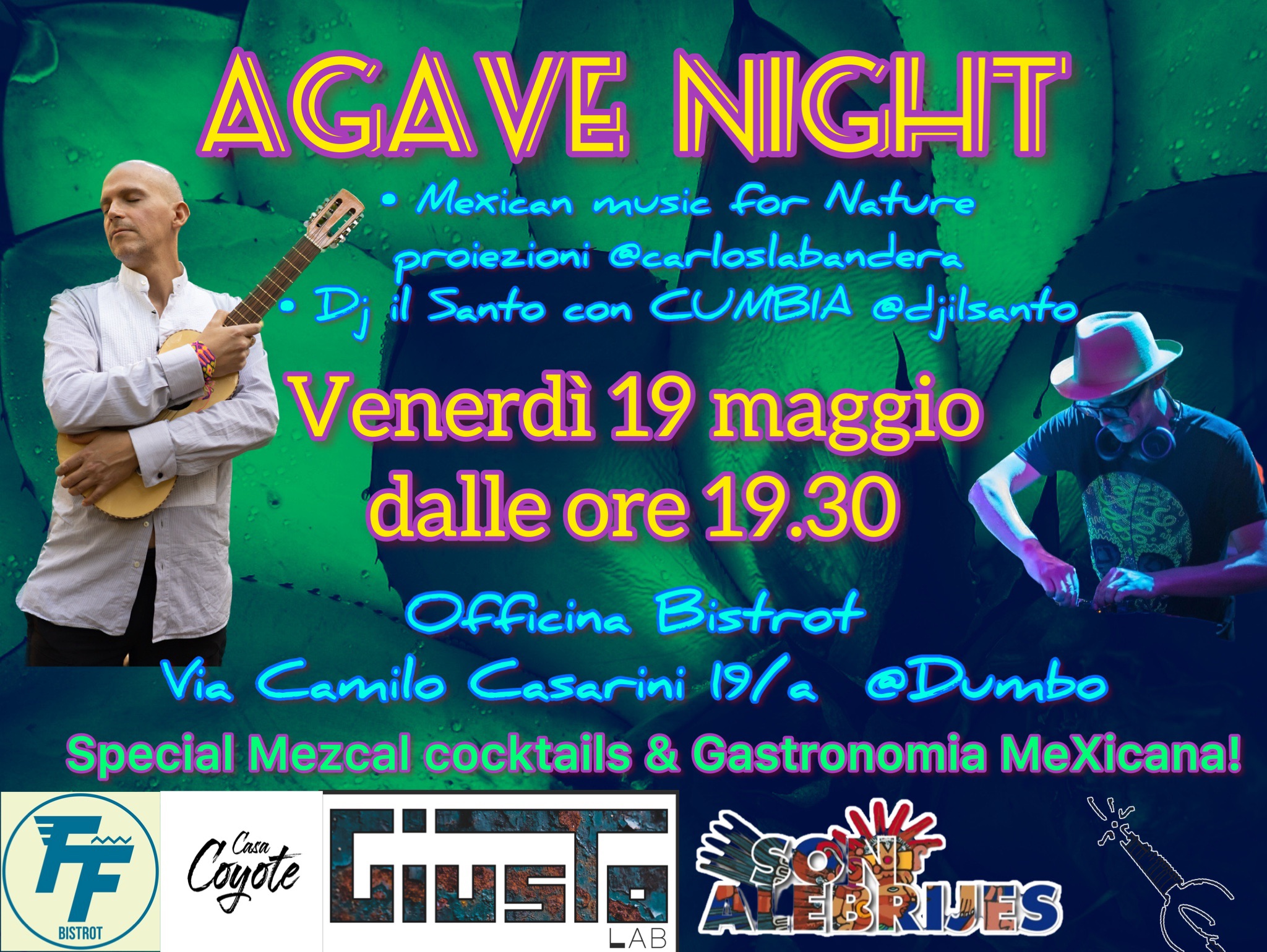 AGAVE NIGHT