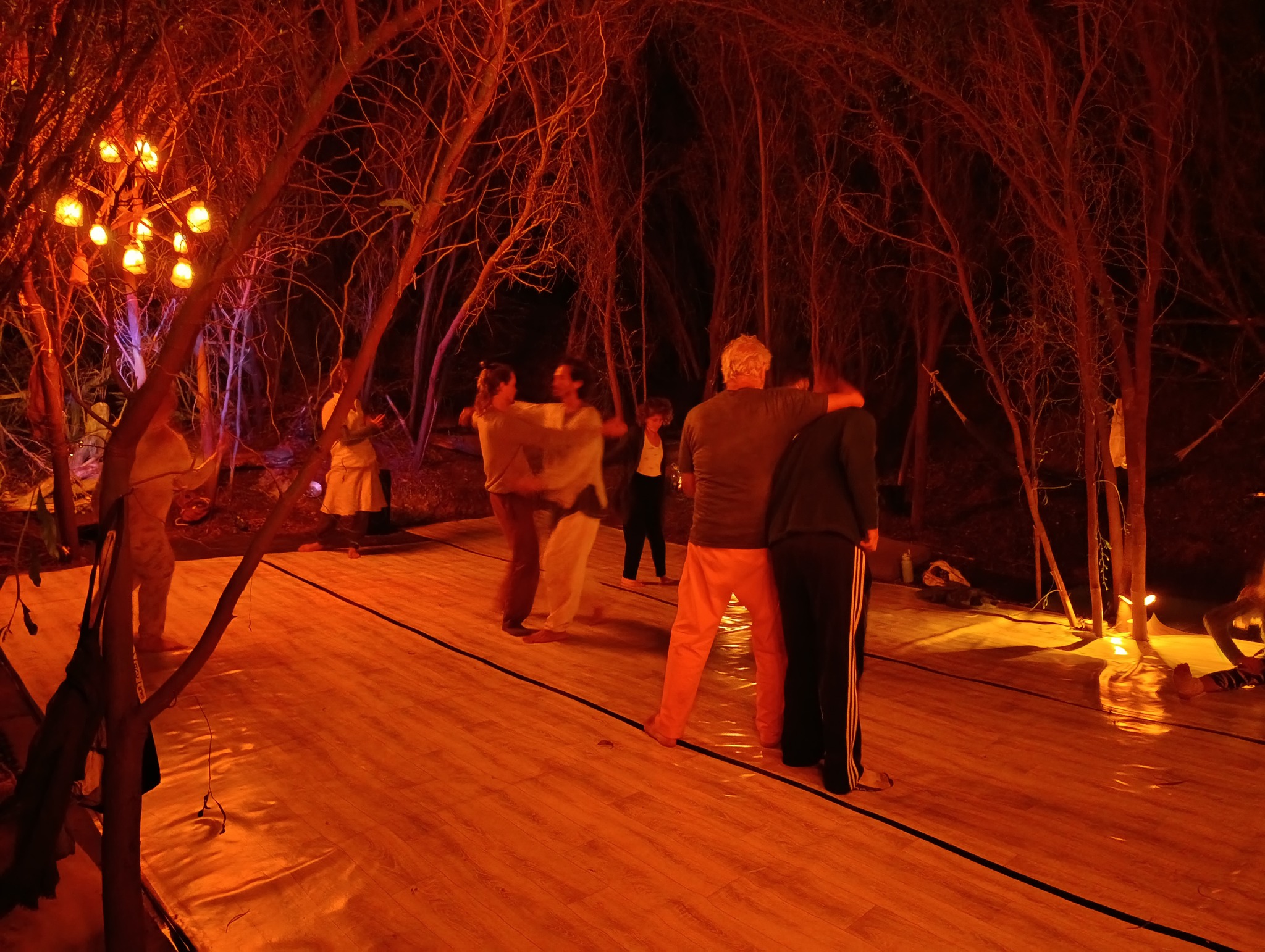 ליפול לאיזון - סופש תנועה וקונטקט בטבע Falling 2 Ballance CI weekend and dancing in nature