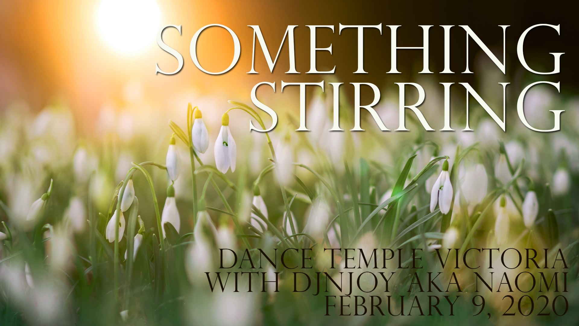 Dance Temple Victoria w Naomi