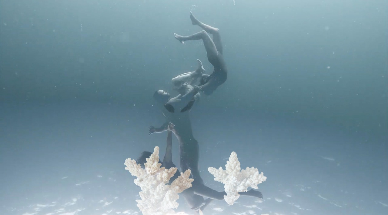 Ocean Dance - 4 day deep WaterDance workshop
