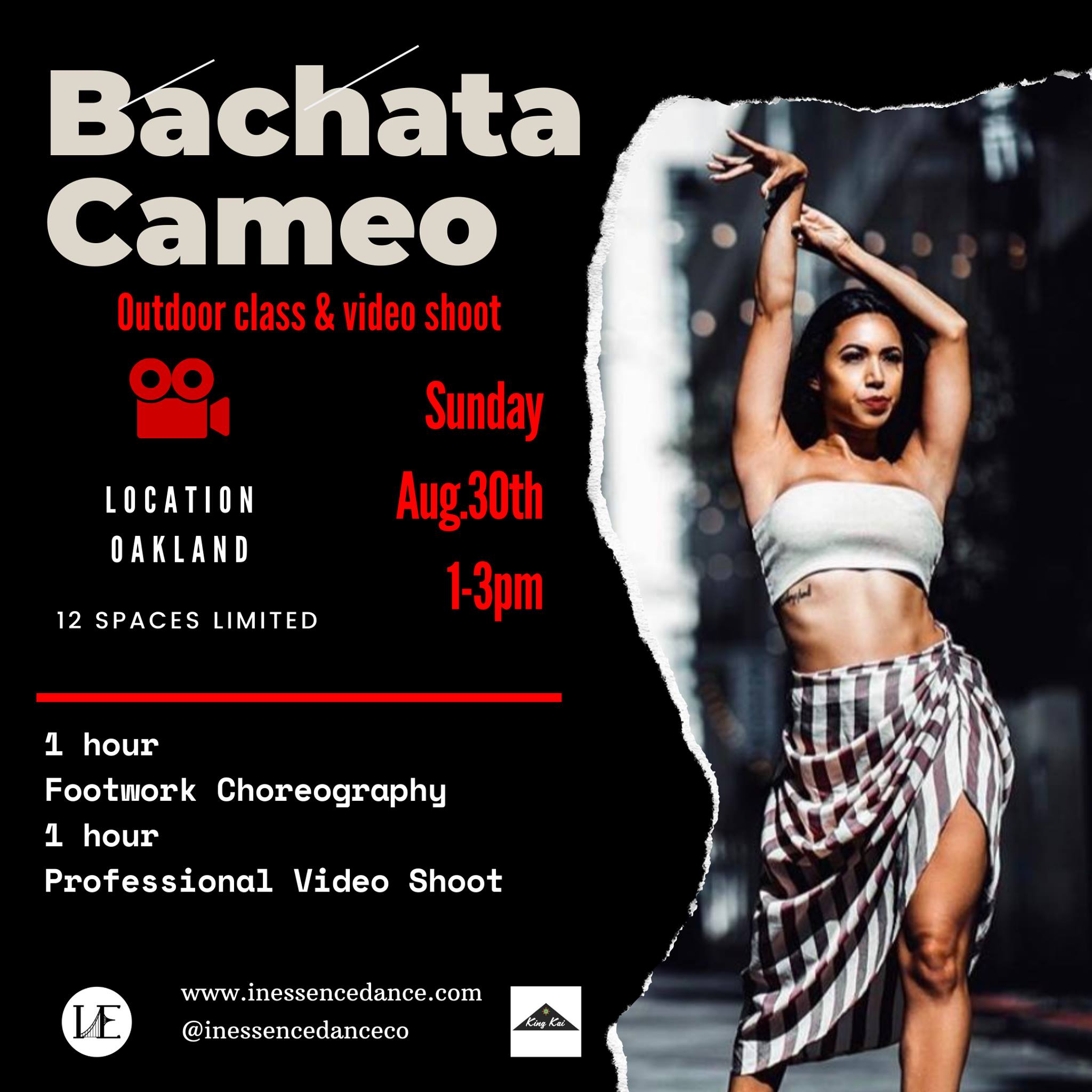 Bachata Cameo SOLD OUT