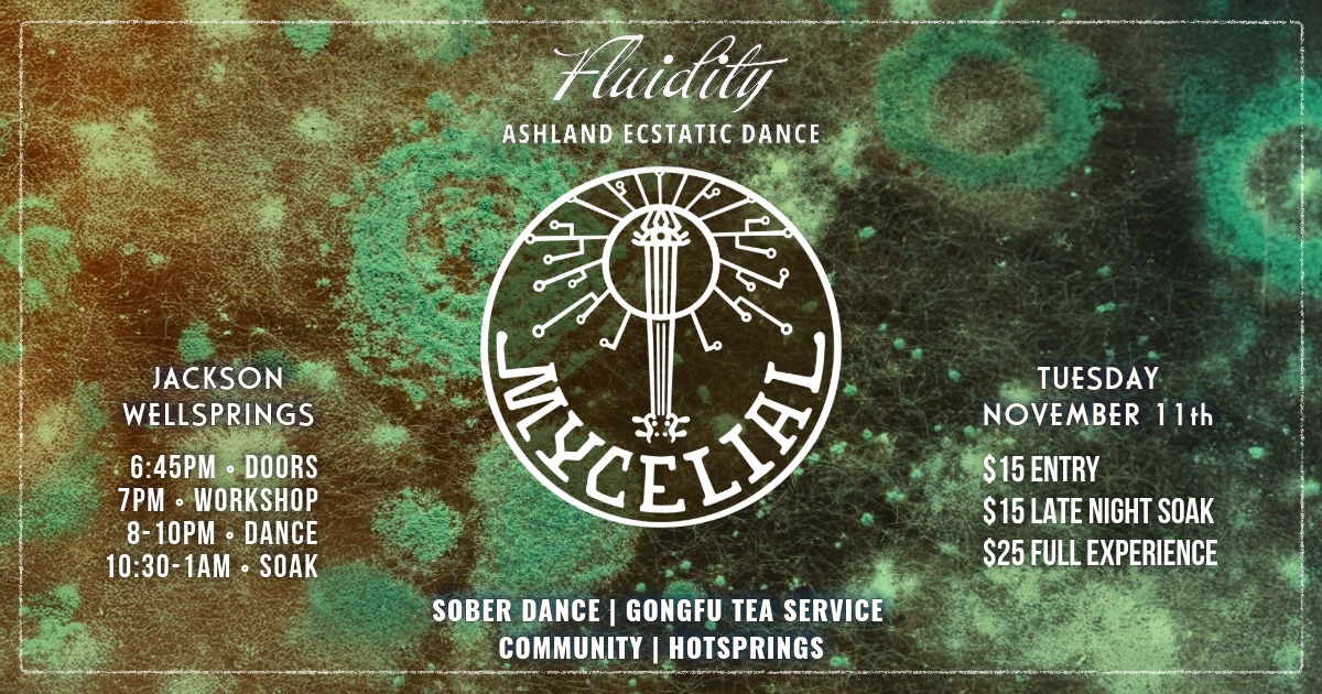 Mycelial at Fluidity: Ashland Ecstatic Dance