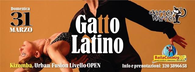 Gatto Latino Domenica 31 Marzo