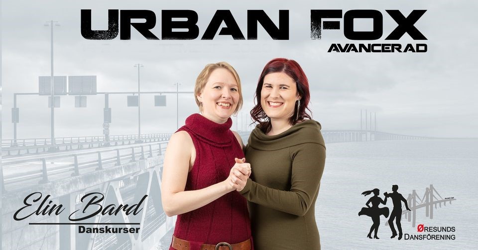 Urban Fox Avancerad