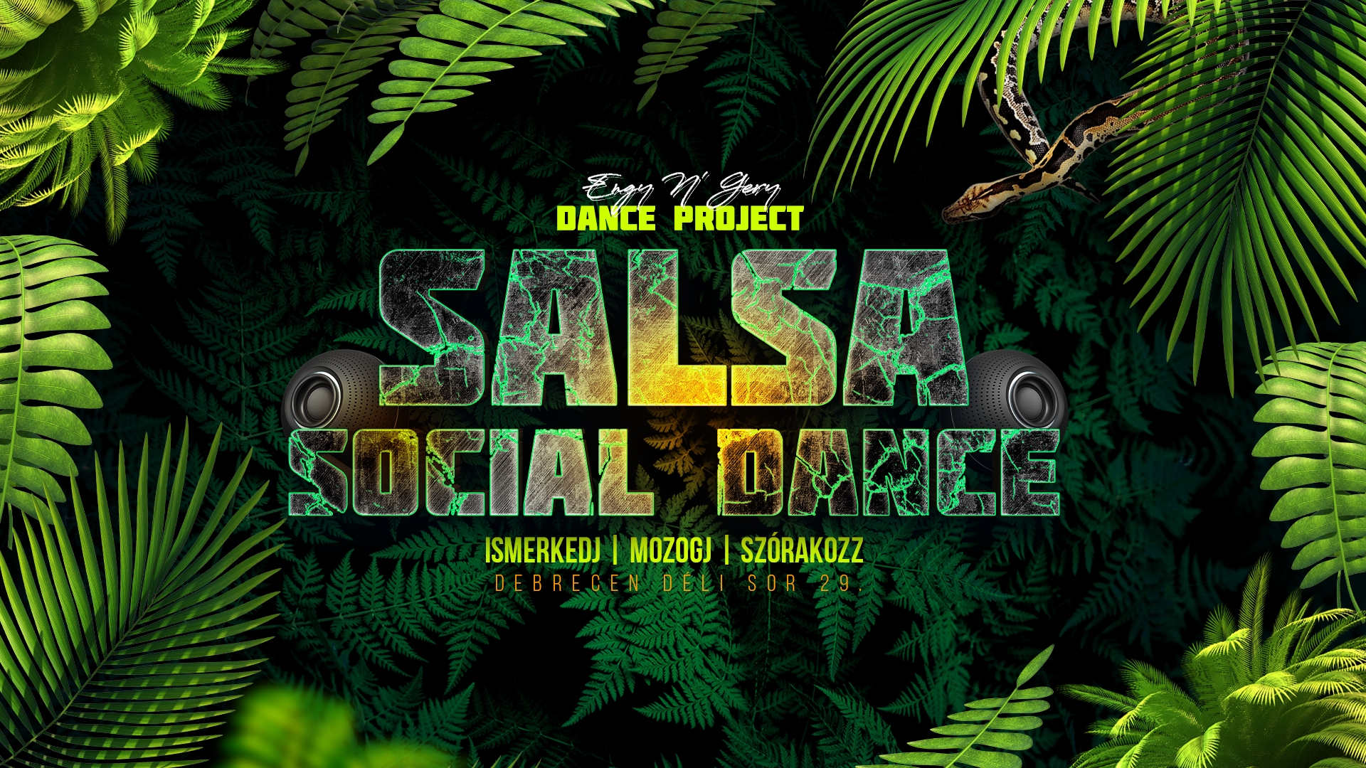 Salsa Social Dance