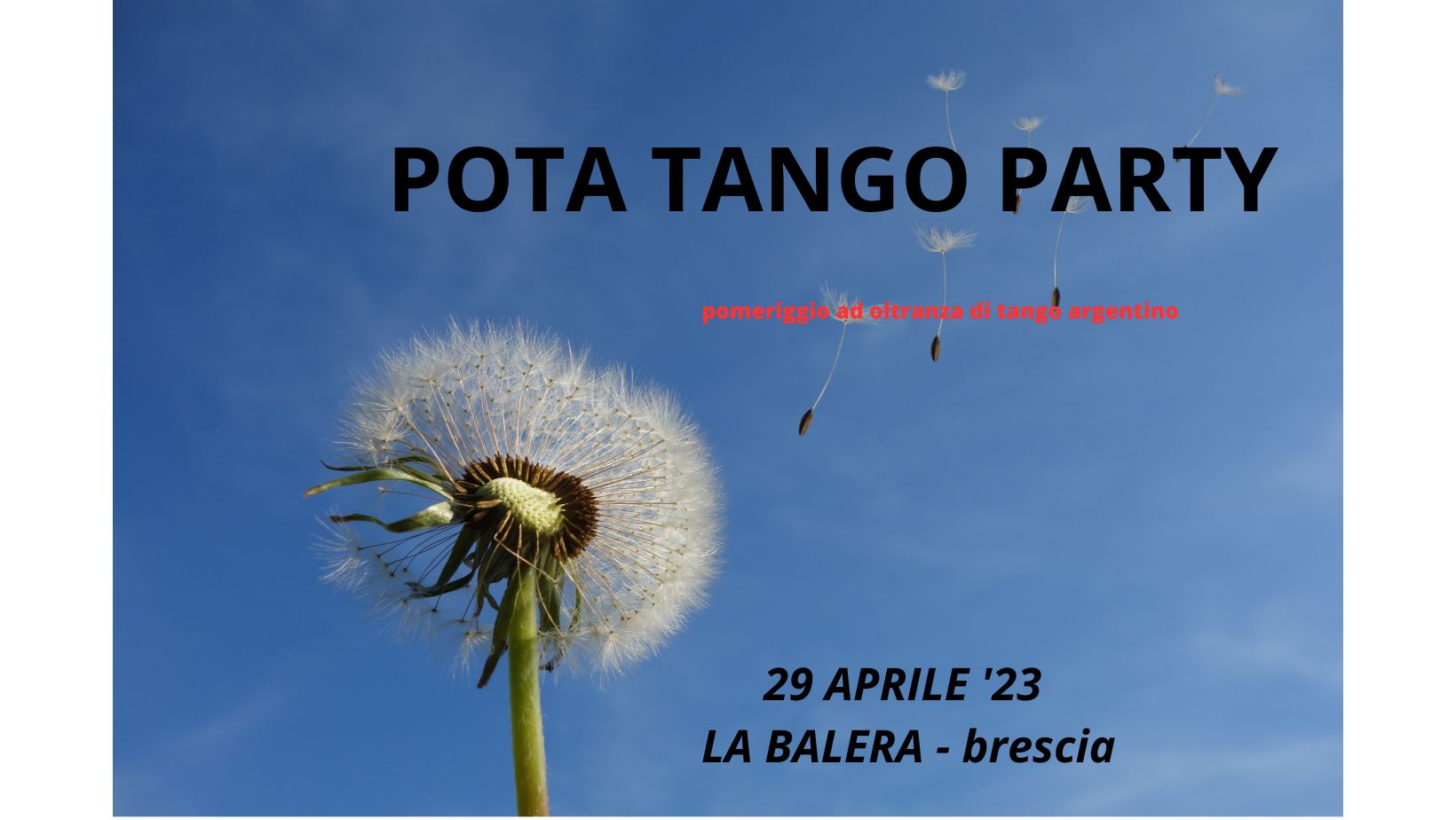 POTA TANGO PARTY - IL RITORNO !!! con ZIZZU