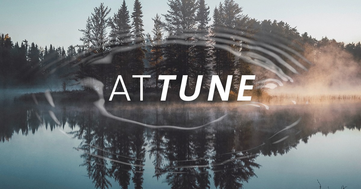 ATTUNE: Sound & Silence Nature Retreat