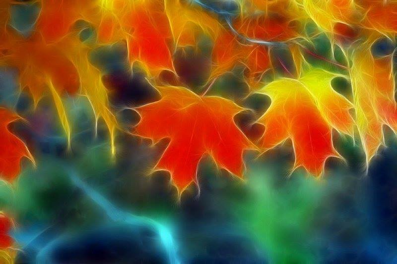 Salsa-versity Autumn Special with **Dj Jane Salsaldi**